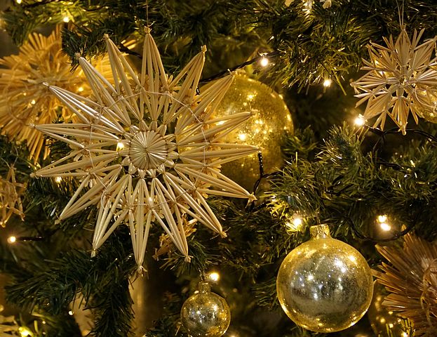 1. 12. 2023 - Rozsvícení vánočního stromu a vánoční jarmark
